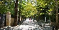 Φωτογραφία του περιγραφόμενου στοιχείου